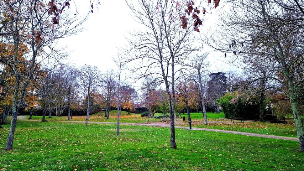 Parc automnal : Arbres dénudés et sentier sinueux