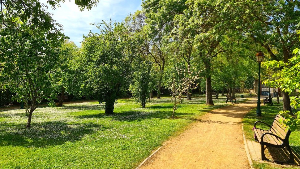 Parc urbain paisible pour se détendre et se promener