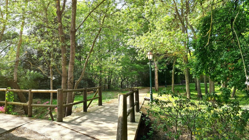 Pont en bois sur ruisseau fleuri