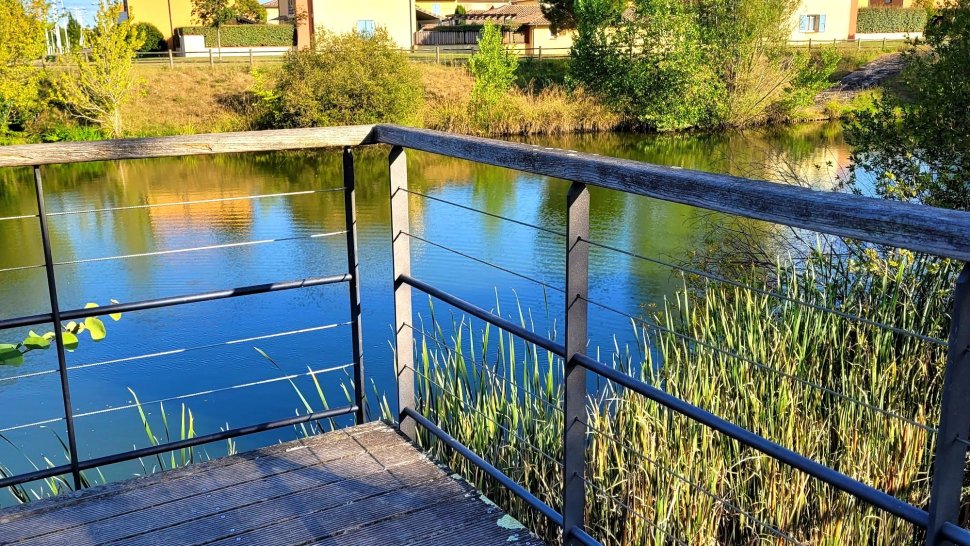 Ponton en bois sur un étang paisible